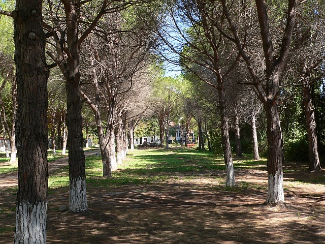 p1150751