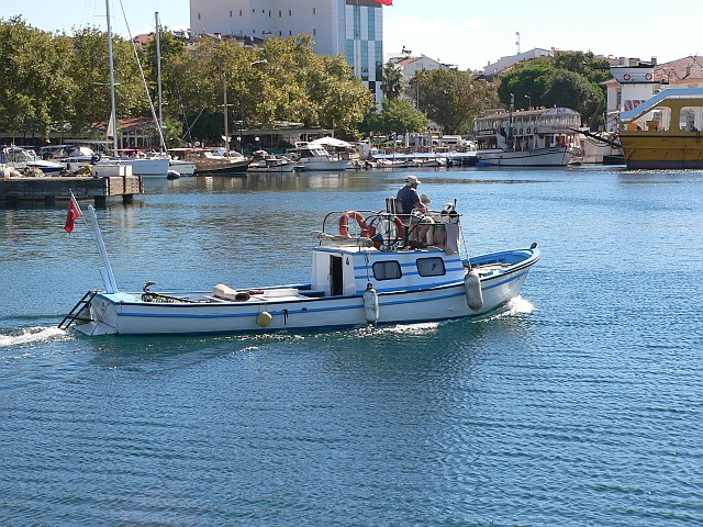 p1150848