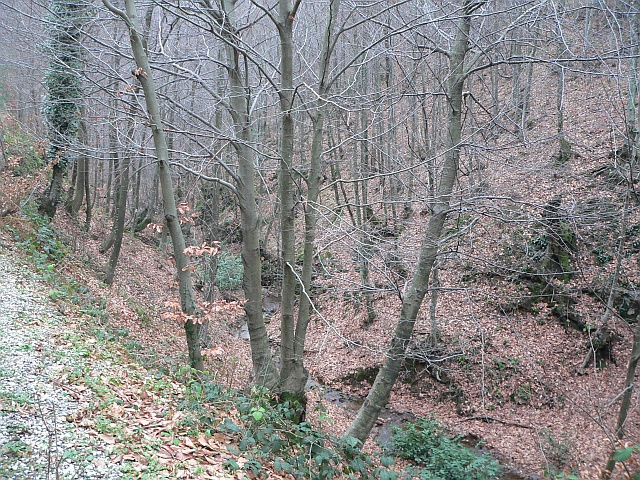 p1160347