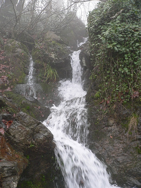 p1160328