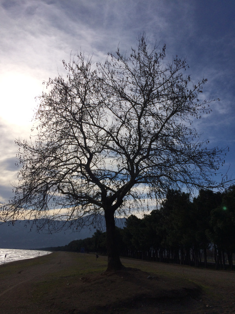 photo-14-01-2017-12-24-11