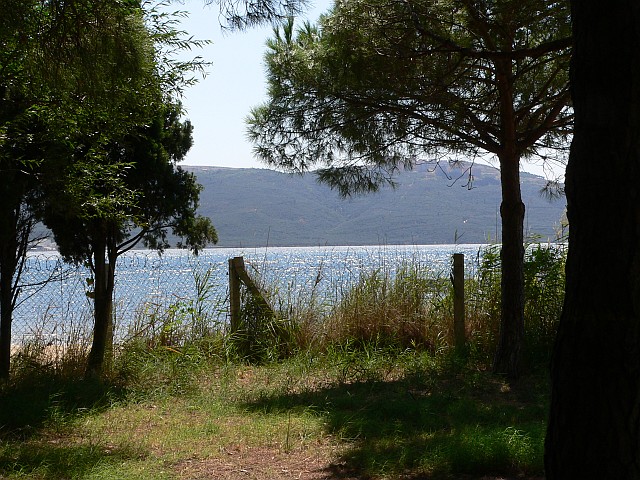 p1150748