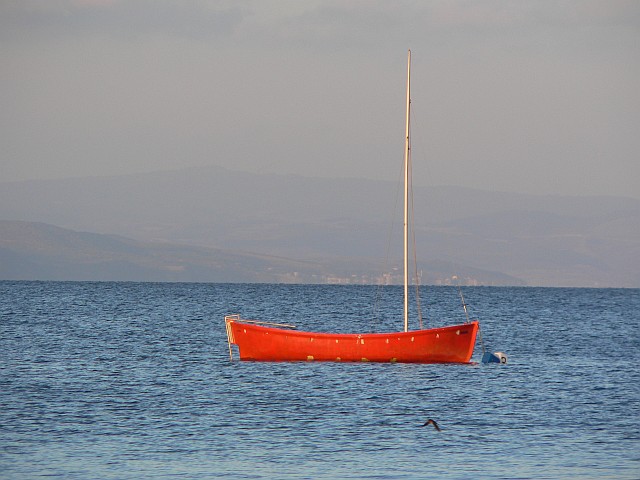 p1150822