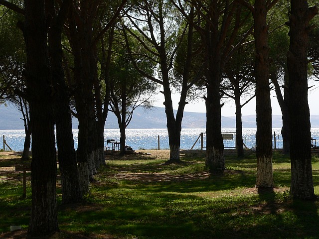 p1150783
