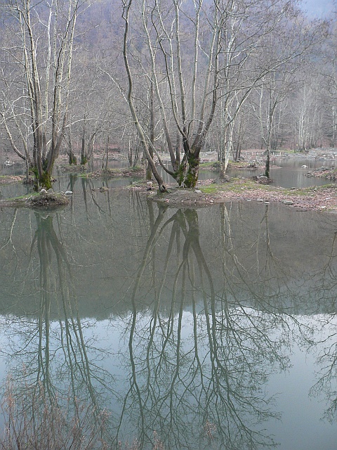 p1160352