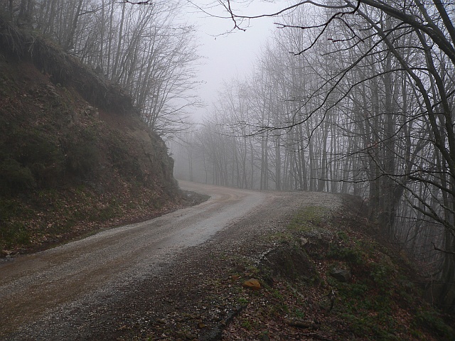 p1160338