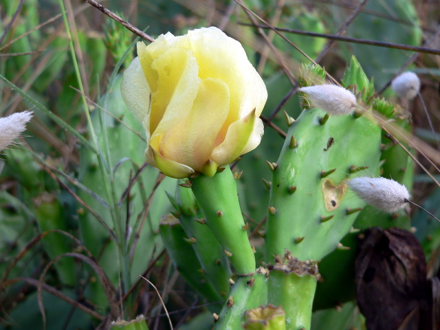 p1170598