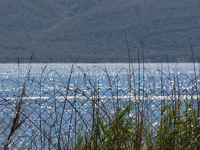 p1150749