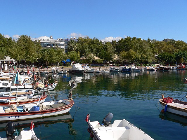 p1150846