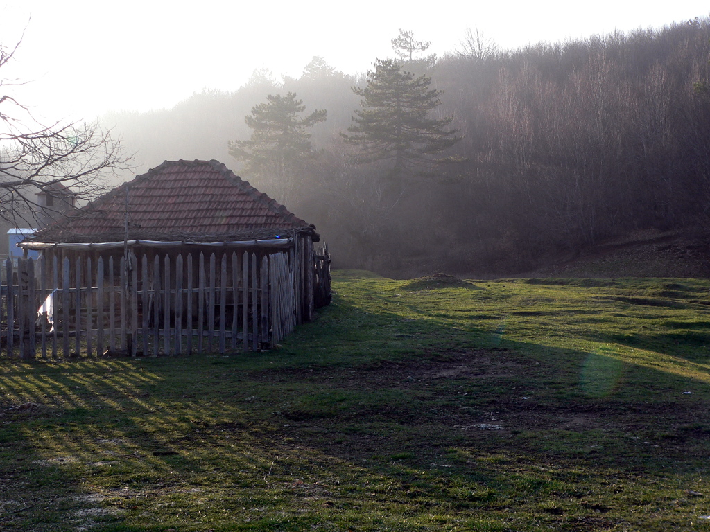Yeni Yılın İlk&nbsp;Turu