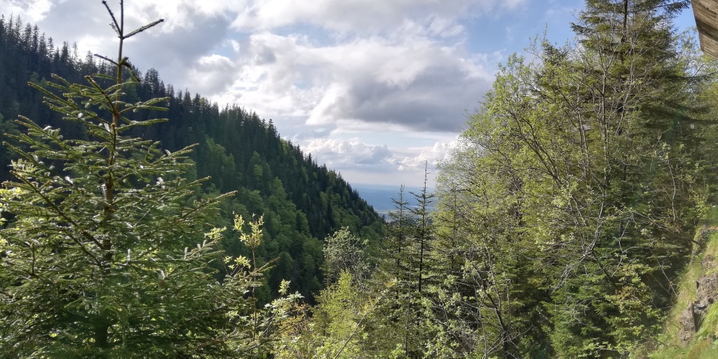 Mis gibi bir sabah...