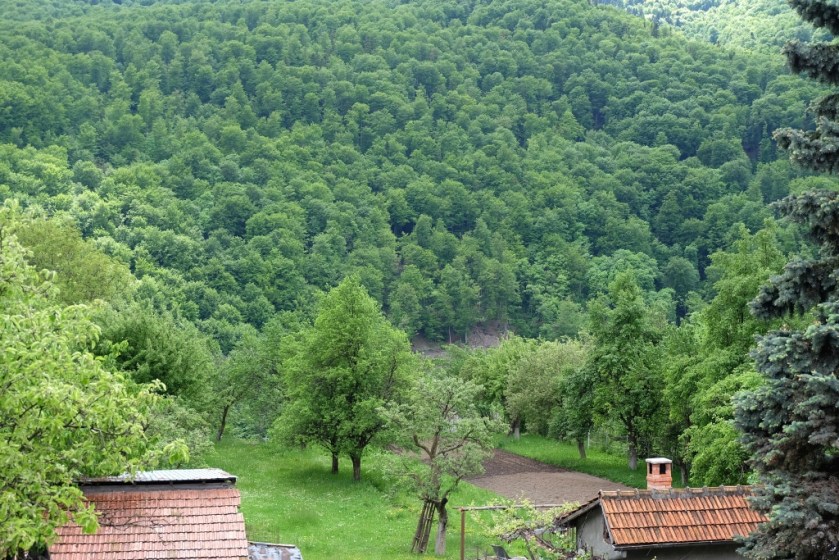 Road Works Romania 01